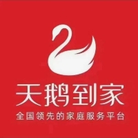 天鹅到家