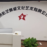 贵阳艺舞星文化艺术有限公司